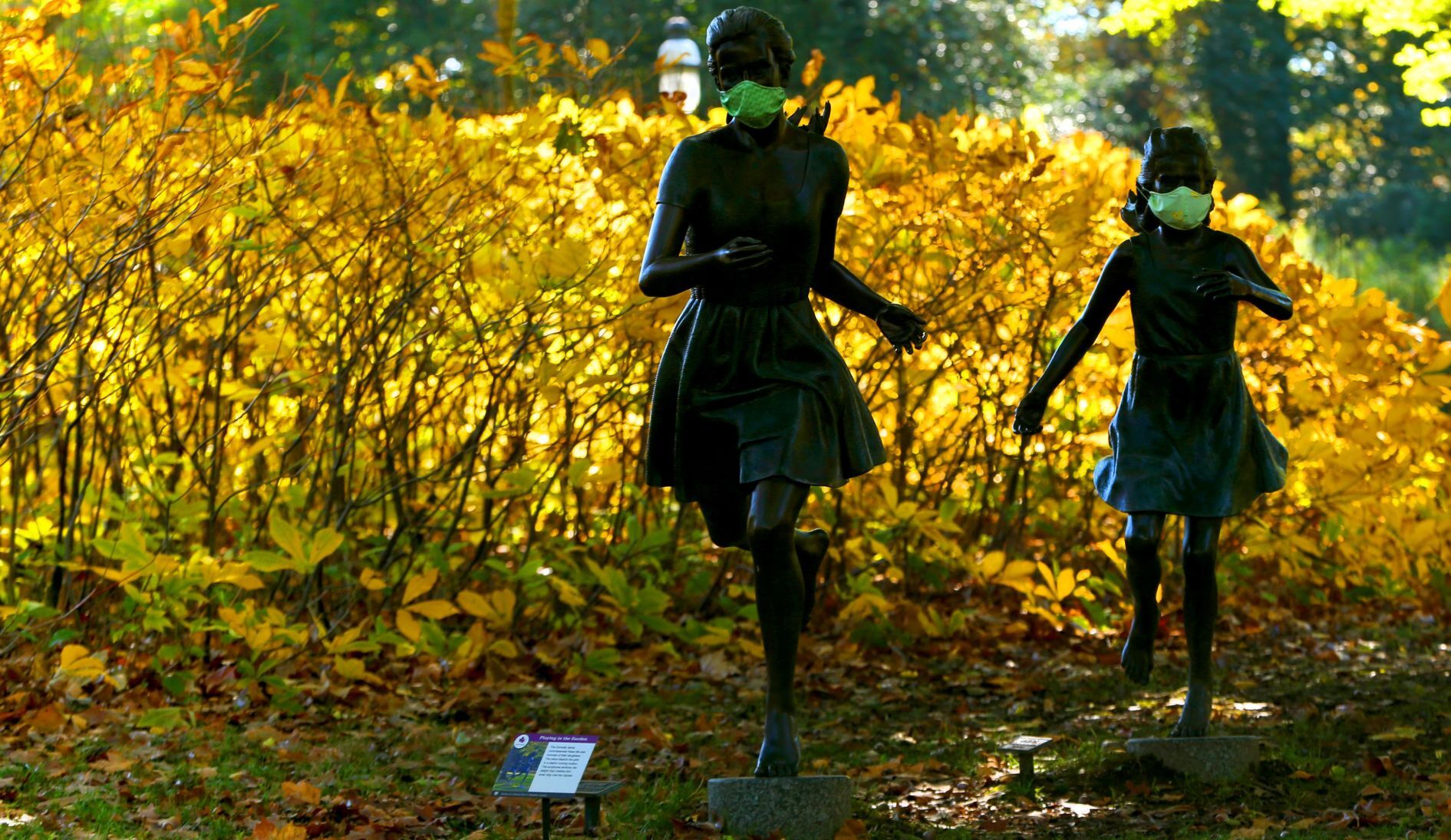 Fall colors remain at MoBot during final days of tree week